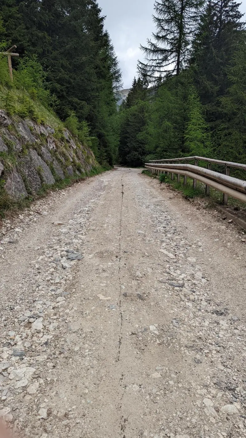 I bravi ragazzi di Fassa con Cayenne: chiazza di olio, imbrattata la forestale per il Micheluzzi
