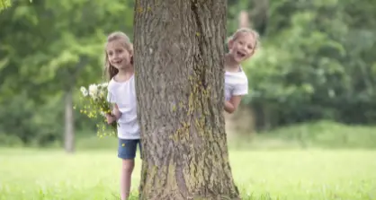 Dal 1993 a oggi il Comune di Trento ha piantato 30 mila alberi, uno per ogni bambino nato