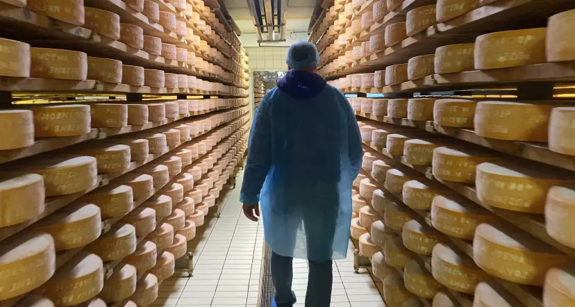 Formaggi trentini in crisi, valore di produzione e conferimento in calo, il punto di Concast