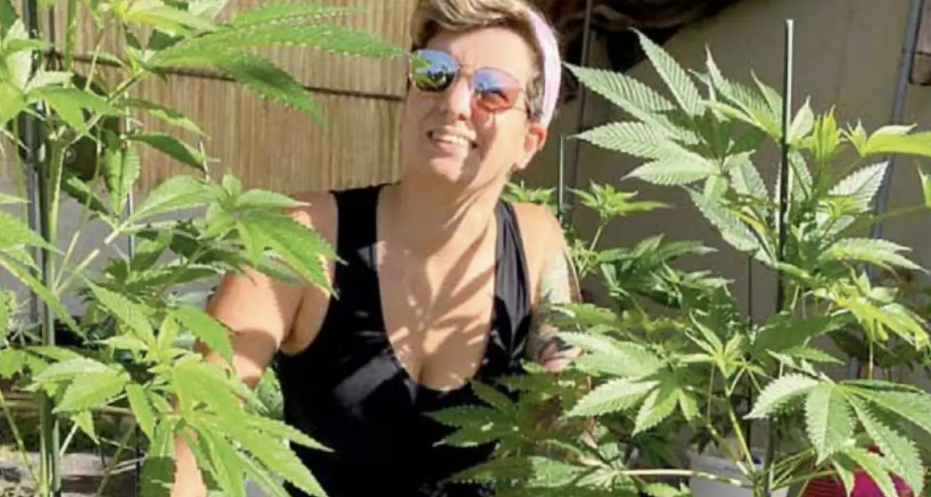 Lanzarote: torta alla cannabis, ricetta roveretana. Elisa Potrich vince quattro concorsi con i dolci
