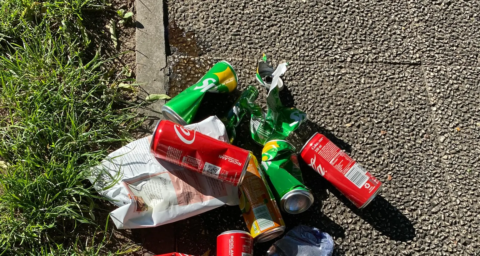 Immondizia al parco dopo la festa di fine scuola: sui social l’amarezza della sindaca di Pellizzano