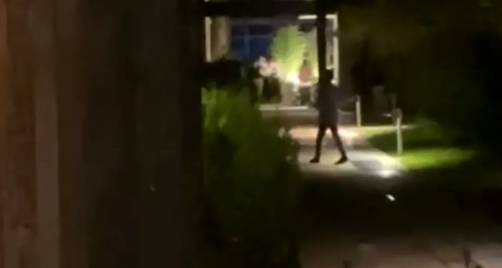 La movida invade le Albere e i residenti sono furibondi: «Urina ed escrementi nei giardini privati, e musica a tutto volume nella notte»