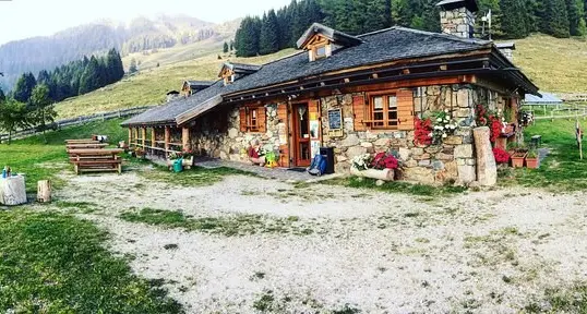La proposta «detox» per i ragazzi: venite tre giorni in malga, senza sociale, senza Internet e senza smartphone