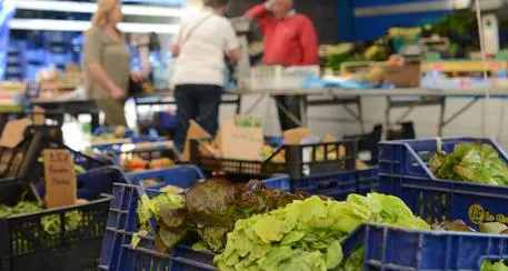 Supermercato della Val Venosta invaso dai topi: l’Azienda sanitaria sospende l'attività