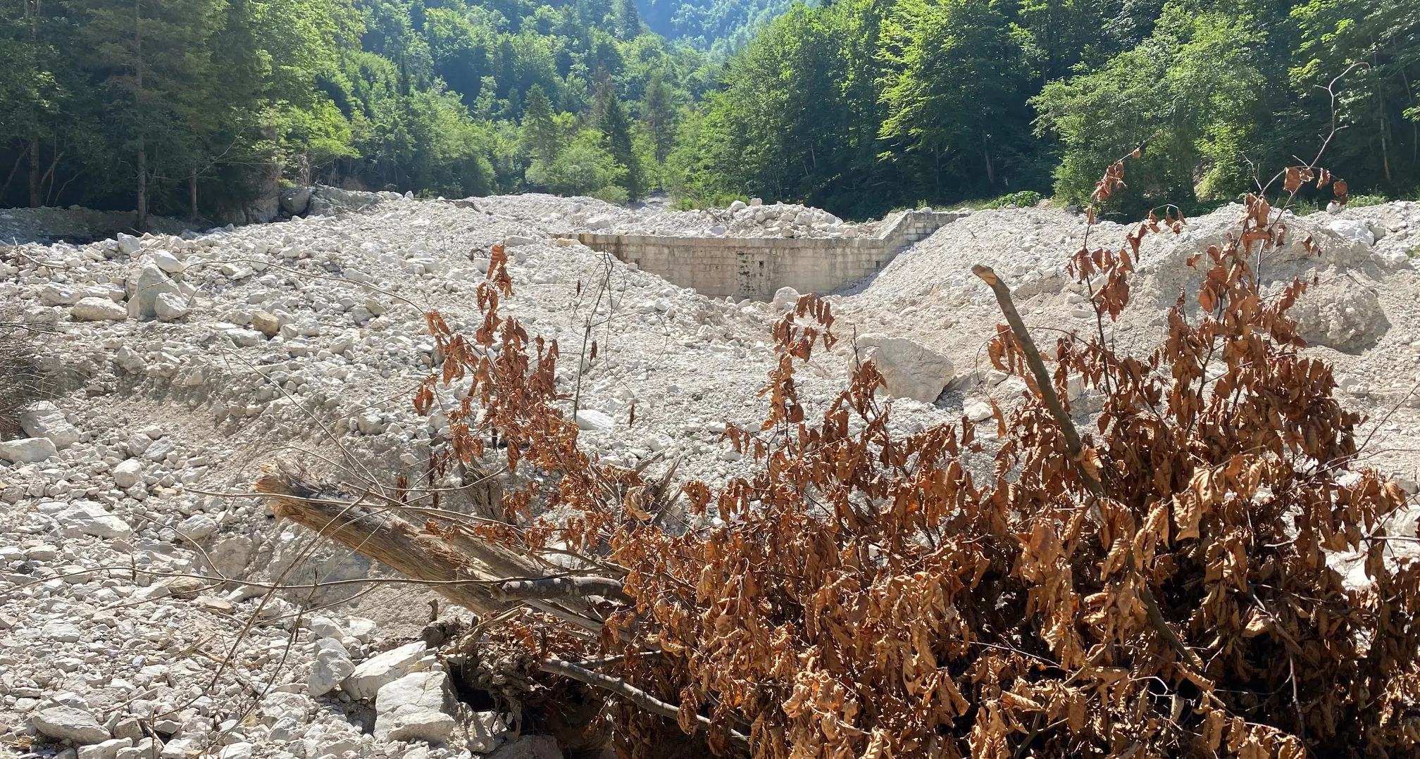 Siccità, anche il Trentino soffre, pescicolture in allerta e torrenti a secco: «una tempesta perfetta, siamo preoccupati»