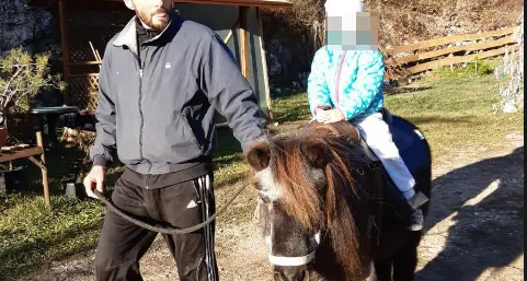 I lupi sono arrivati in Predaia: uccisa una pony dell’allevamento di Alan Franceschini