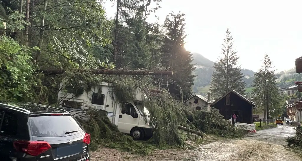 Torna la normalità sulle provinciali: tutte riaperte le arterie ostruite dalla caduta di alberi e rami a causa dei temporali di ieri