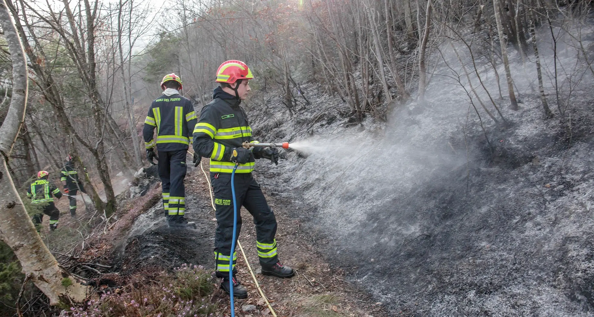 Allarme piromane: nuovo incendio a Noriglio, in fiamme il bosco sopra Senter, è la stessa zona di domenica scorsa
