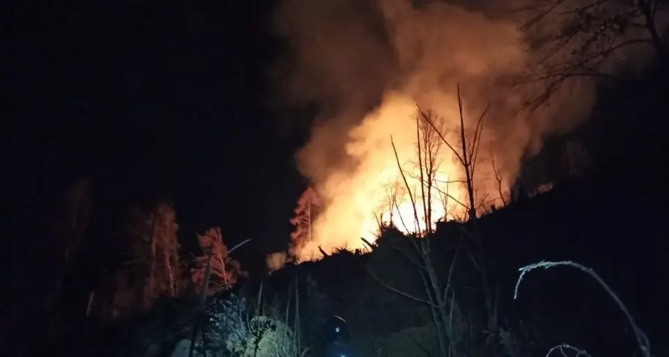Incendio boschivo a Levico, torna la paura del piromane: fuoco appiccato ad una catasta di legna a bordo strada