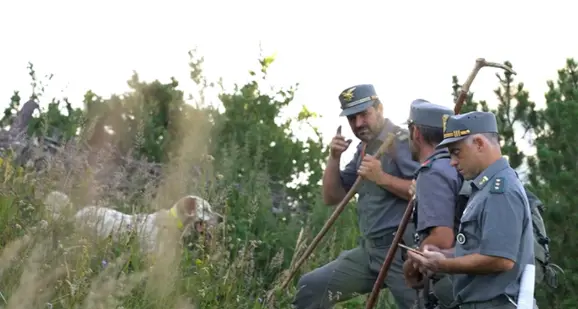 Pecore morte e seppellite a Nambino, «trovati e sanzionati i responsabili, però dal gregge ne mancano altre 33»