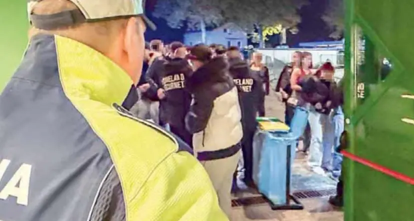 I teppisti di Halloween: due gattini uccisi, scuole danneggiate e segnali divelti