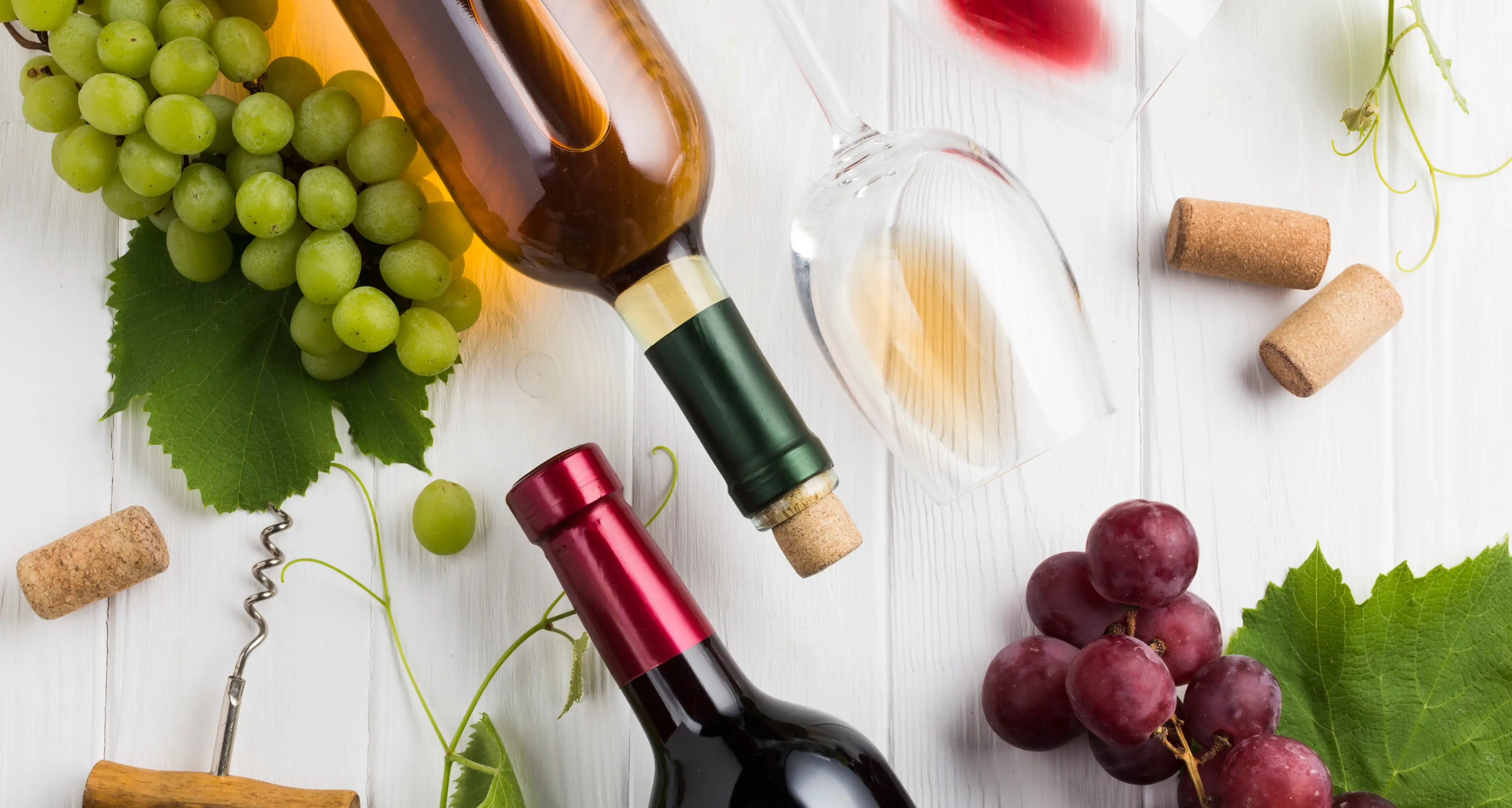 Il vino buono sta nelle bottiglie colorate, secondo la Fondazione Edmund Mach