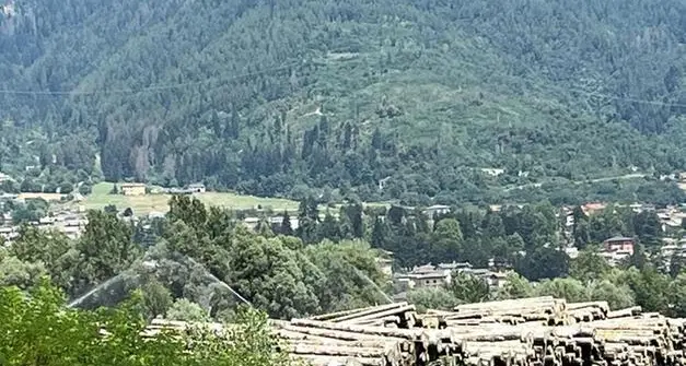 Acqua sprecata a Levico e Novaledo per bagnare il legname di Vaia, Paccher a Degasperi: “Si informi meglio prima di parlare”