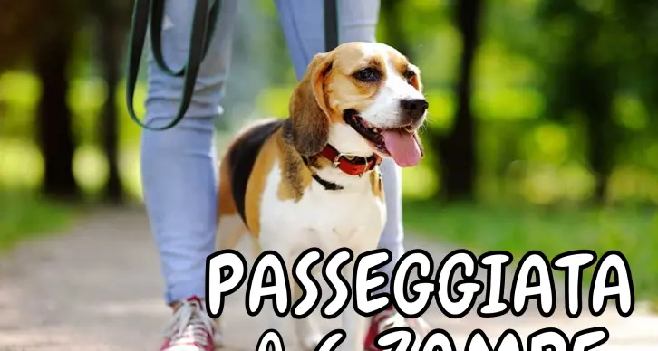 Sabato 11 maggio la «passeggiata a sei zampe» con i vostri pet preferiti: partenza e arrivo alle Albere