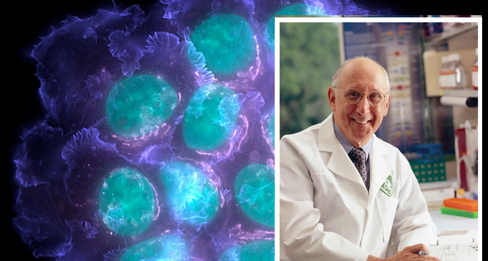 Premio Pezcoller ad un immunologo: Steven Rosenberg e la via per la cura dei tumori