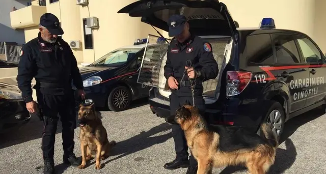 Sorelle scomparse: per le ricerche impiegati anche cani da 'mantrailing'