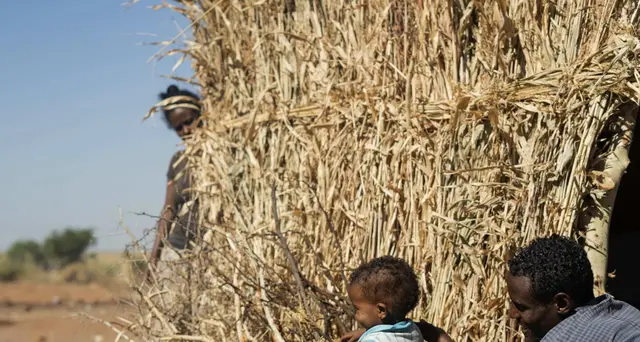 Etiopia: forze del Tigrè accusano Eritrea di nuovi attacchi