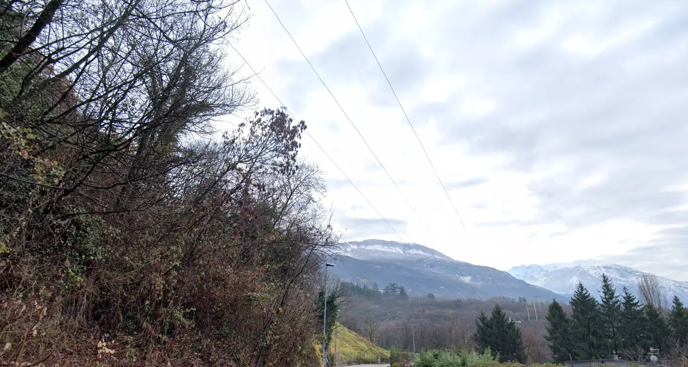Gli alberi sotto l’elettrodotto: a San Donà martedì si taglia il bosco