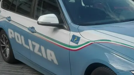 ANSA