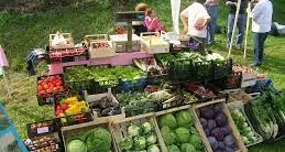 Da giovedì prossimo mercato a Trento: ma sarà quello «local & social» di San Martino, in orario serale