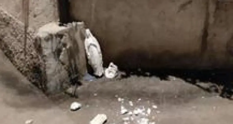 Distrutta la Madonnina di via Pilati a Cles: vandali in azione, è la seconda volta