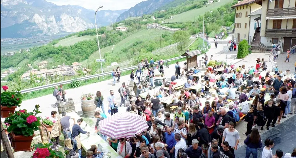 Il 25 aprile torna \"Di maso in maso\" sulle colline di Lavis: aperta la prevendita