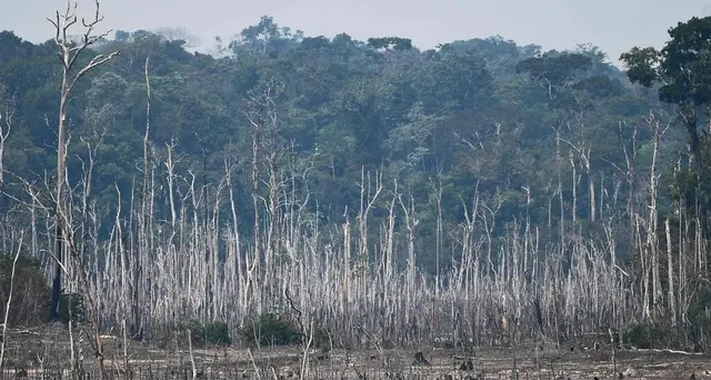 Cop26: Brasile si impegna a ridurre 50% gas serra entro 2030
