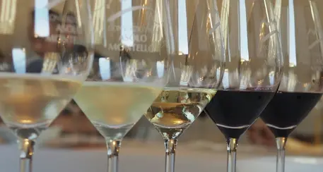 Meno vino nel carrello della spesa, Prosecco al top delle vendite. Bene il Müller-Thurgau