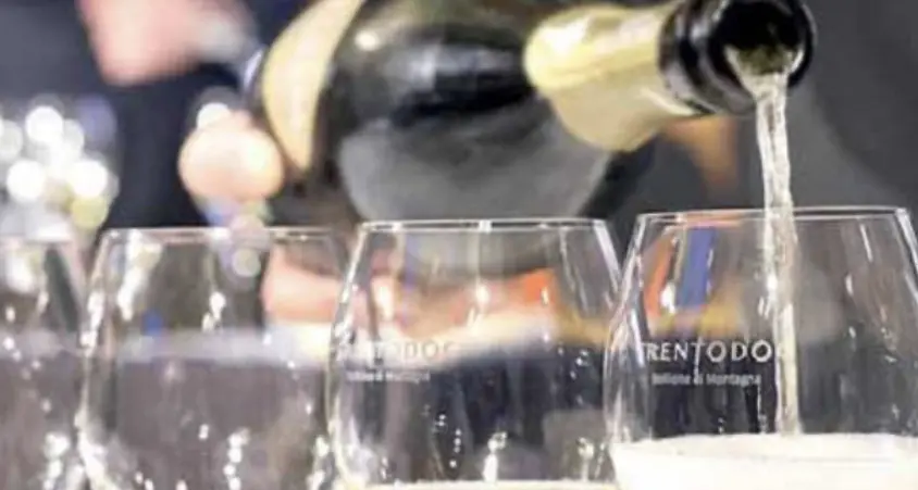 Enologia: Gambero Rosso, tredici vini trentini premiati