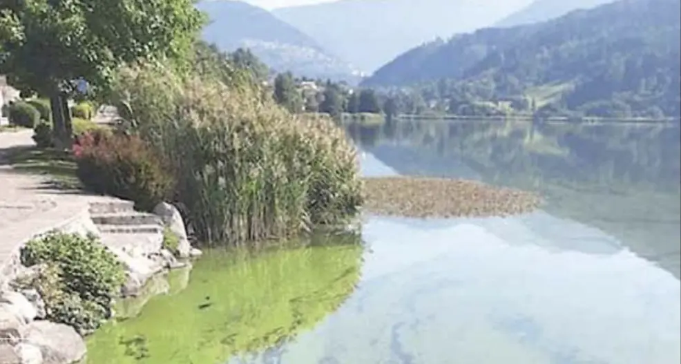 Lago di Serraia in sofferenza: le condizioni ambientali ed ecologiche sono critiche