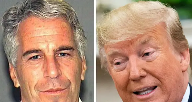 Epstein: 'Trump una cattiva persona, nessuna cellula decente nel suo corpo'