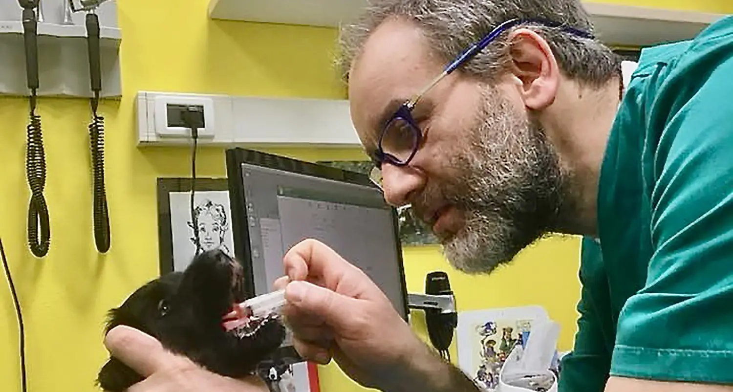 Noi e i nostri animali, cos’è cambiato nella pandemia? Il veterinario Guadagnini: «Sono parte della famiglia»