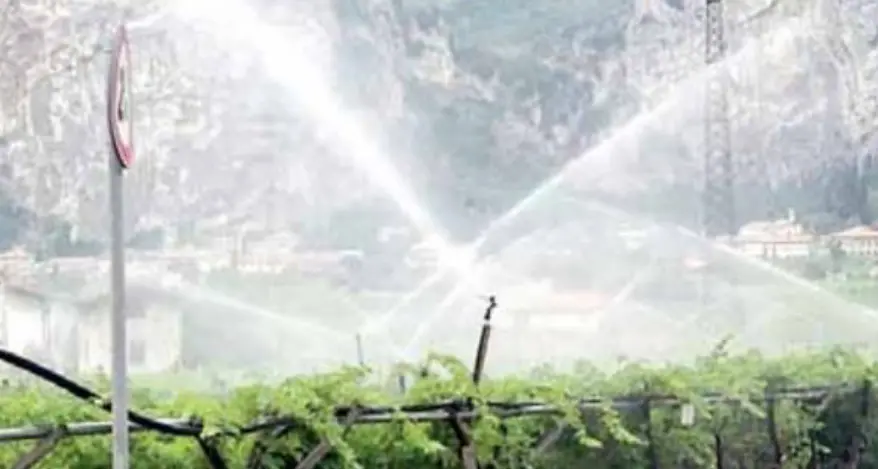 I pozzi per l'irrigazione sono in sofferenza pure nel fondovalle, Barbacovi: “In ansia per la siccità”