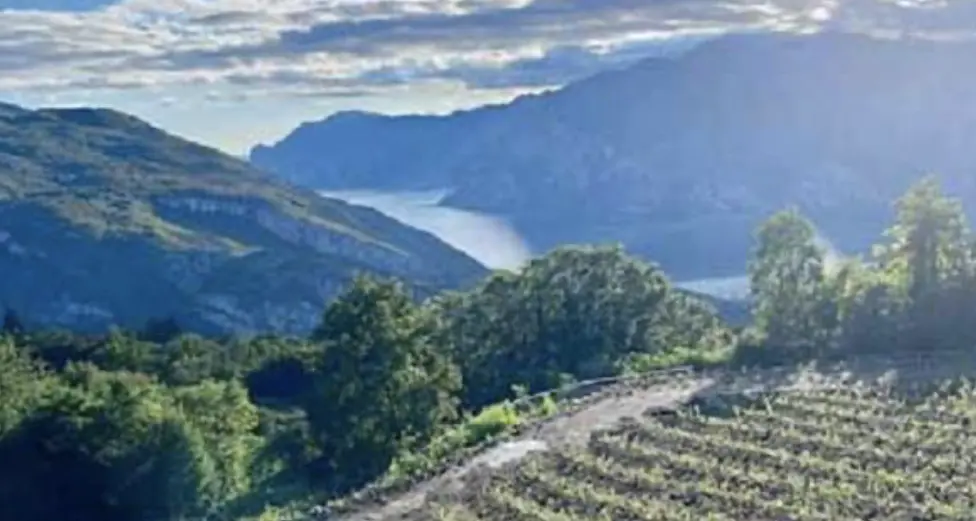 Il Trentino piace anche a settembre, Failoni: “Dobbiamo puntare con forza sul turismo autunnale e su quello primaverile”