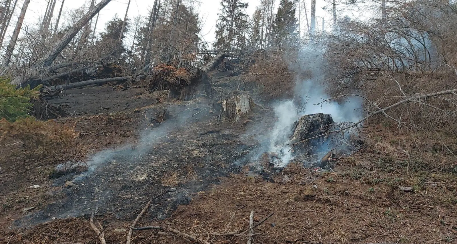 Continui incendi nei boschi, intorno a Pergine piromane scatenato e vigili del fuoco sempre impegnati