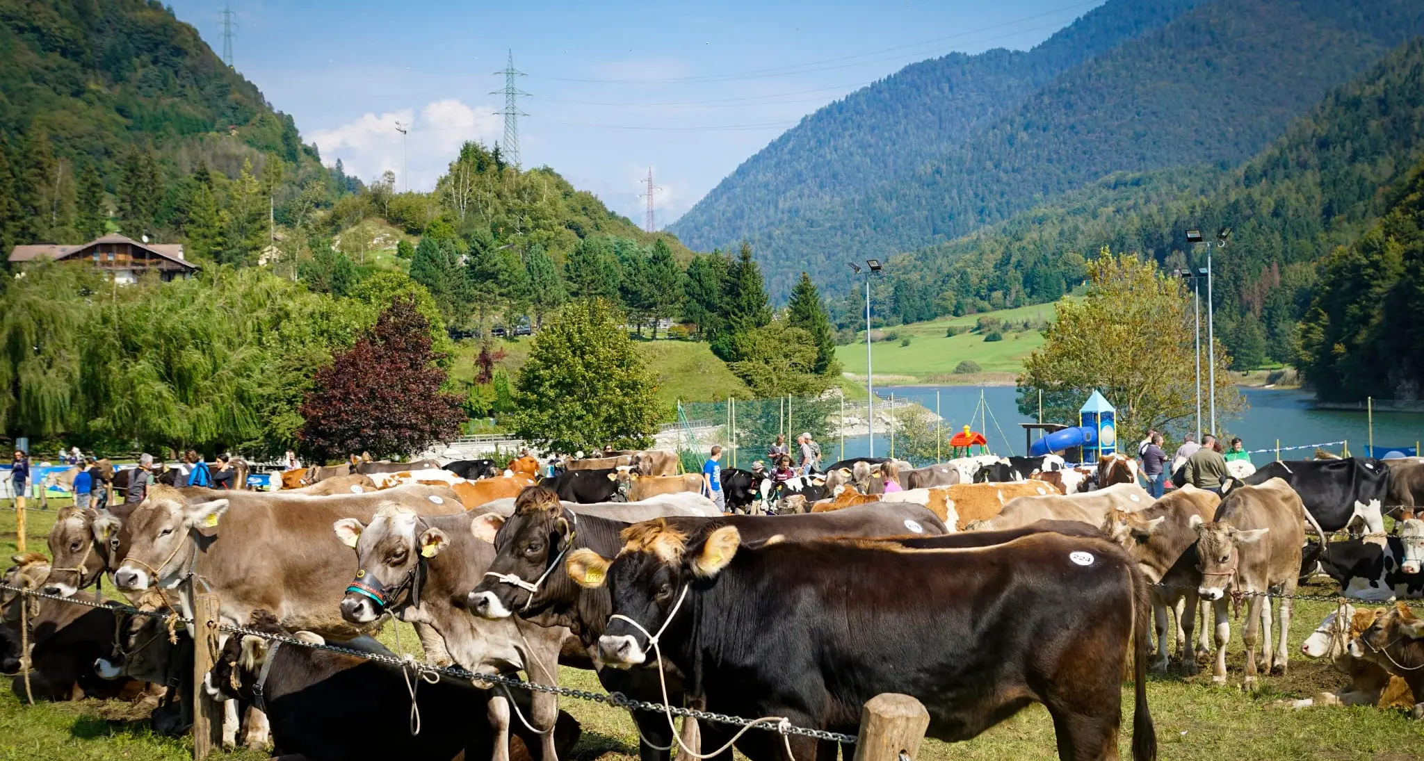 Mondo Contadino e «Formai da mot», a Roncone un sabato di sapori veri di alta montagna
