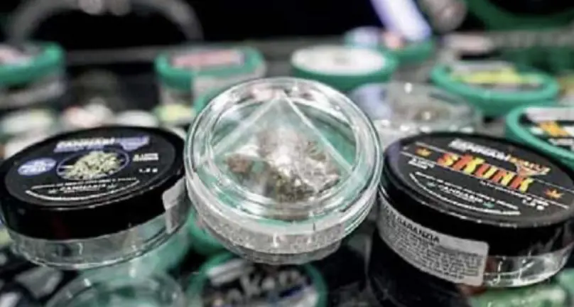 Cannabis light e Decreto sicurezza: “Perso fino al quaranta per cento del fatturato”