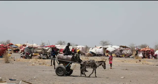 Sudan: paramilitari Rsf attaccano villaggio, 'almeno 40 morti'