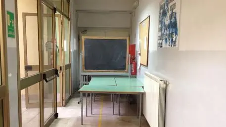 ANSA