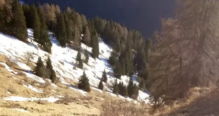 Scivolano sul sentiero ghiacciato a malga Lodranega: muore una donna di 57 anni, gravissimo un uomo di 70, soccorsi altri due