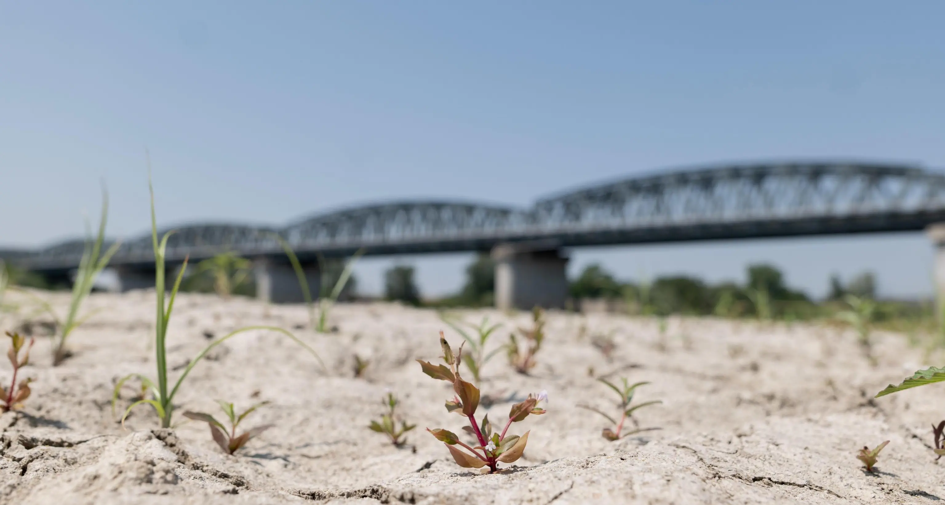 Siccità eccezionale, il bilancio idrico del bacino del Po e Adige è disastroso