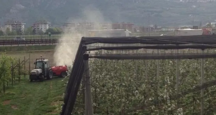 L'Europa e il piano per dimezzare i fitofarmaci, l'allarme di Dorfmann e di Forza Italia