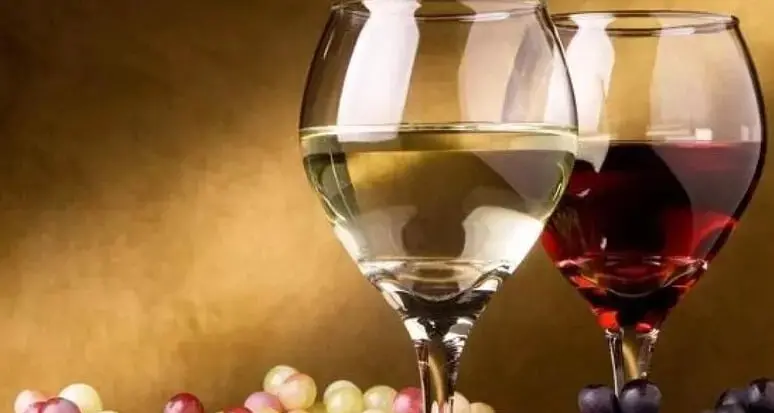 Milano Cortina 2026, ecco quali sono i vini trentini nella carta di Casa Italia