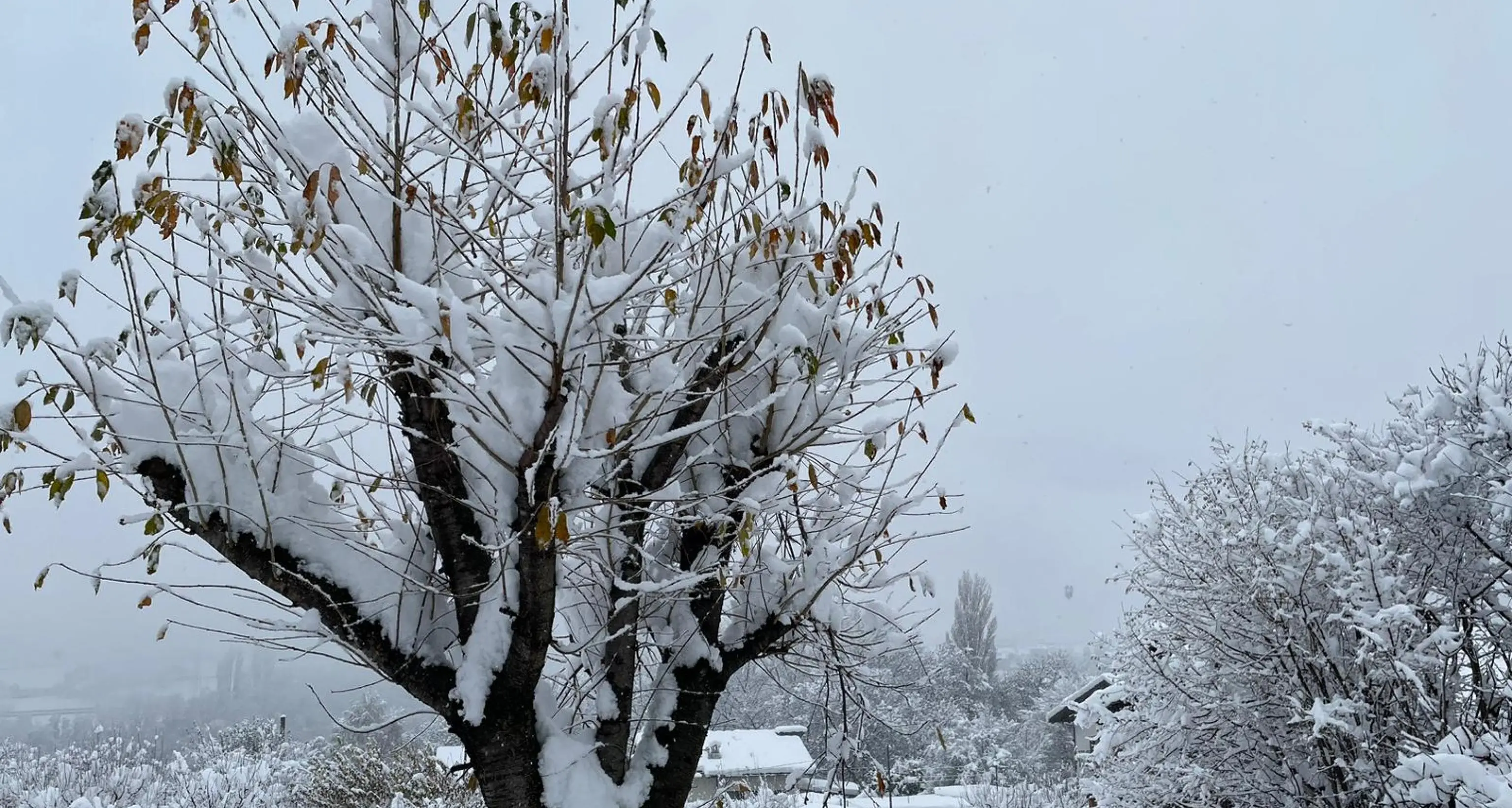 Allerta Protezione Civile: un weekend di precipitazioni, ma poi neve solo ad altissima quota, piste a rischio per la pioggia