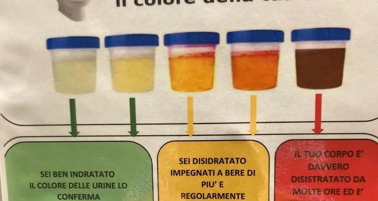 A Trentino Digitale l'invito ai dipendenti: controllate il colore della pipì