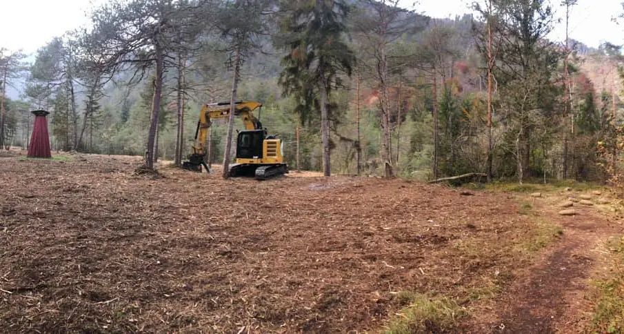 Il bosco di opere d’arte di Ledro raso al suolo con motoseghe e ruspe