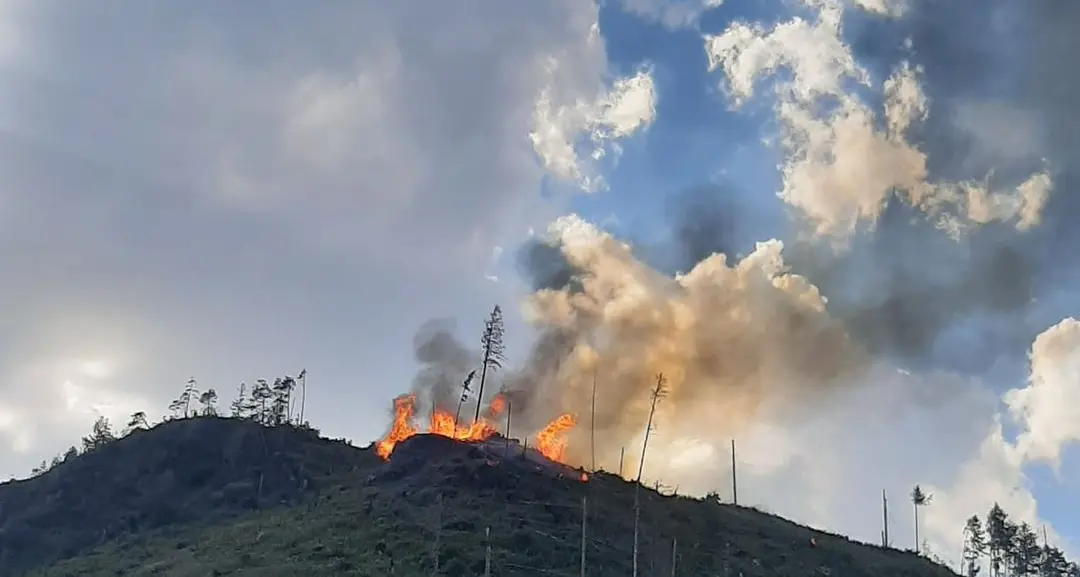 Un altro incendio in Trentino: dalle 17 in fiamme un’ampia area boschiva sul territorio di Predazzo