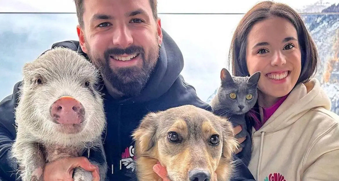 Pumba, addio al maialino più conosciuto d'Italia: aveva trascorso le vacanze in Trentino