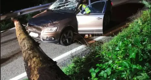 L'albero cade mentre passa l’Audi Q5: danni alla vettura, ma nessun ferito al passo del Duron