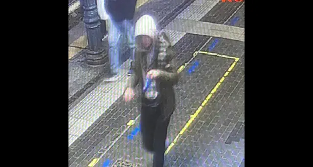 Omicidio del capotreno, questore Brescia: 'Il fermato aveva un atteggiamento sospetto'